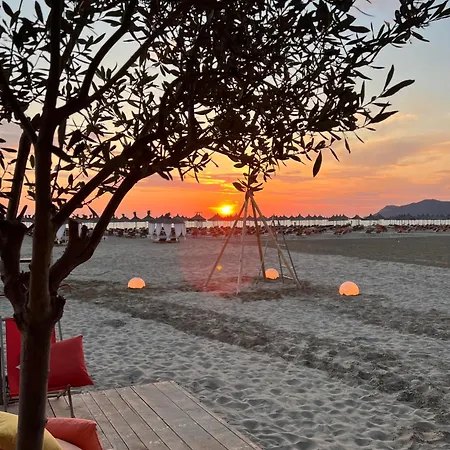 Sea And Pines 아파트 드라치