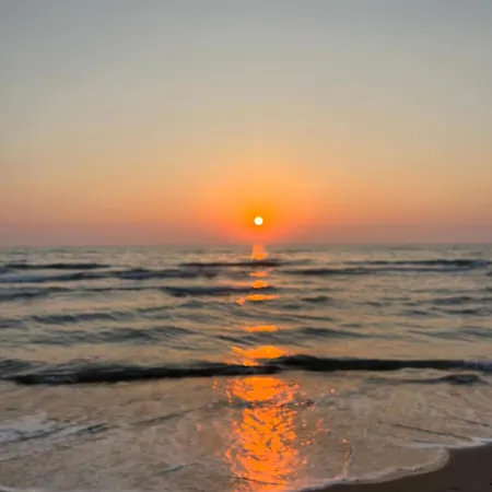 Sea And Pines * Durrës